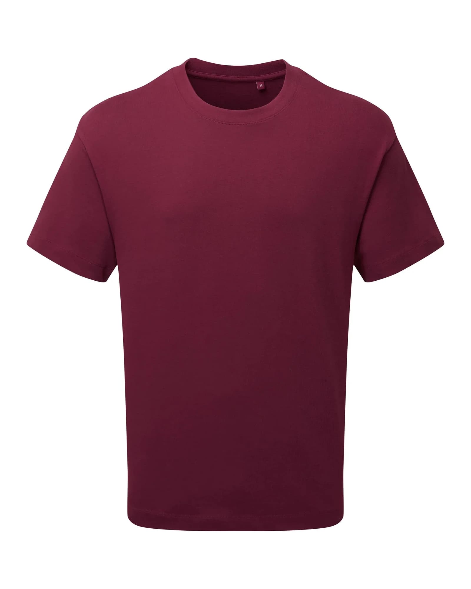 Anthem Heavyweight T-Shirt