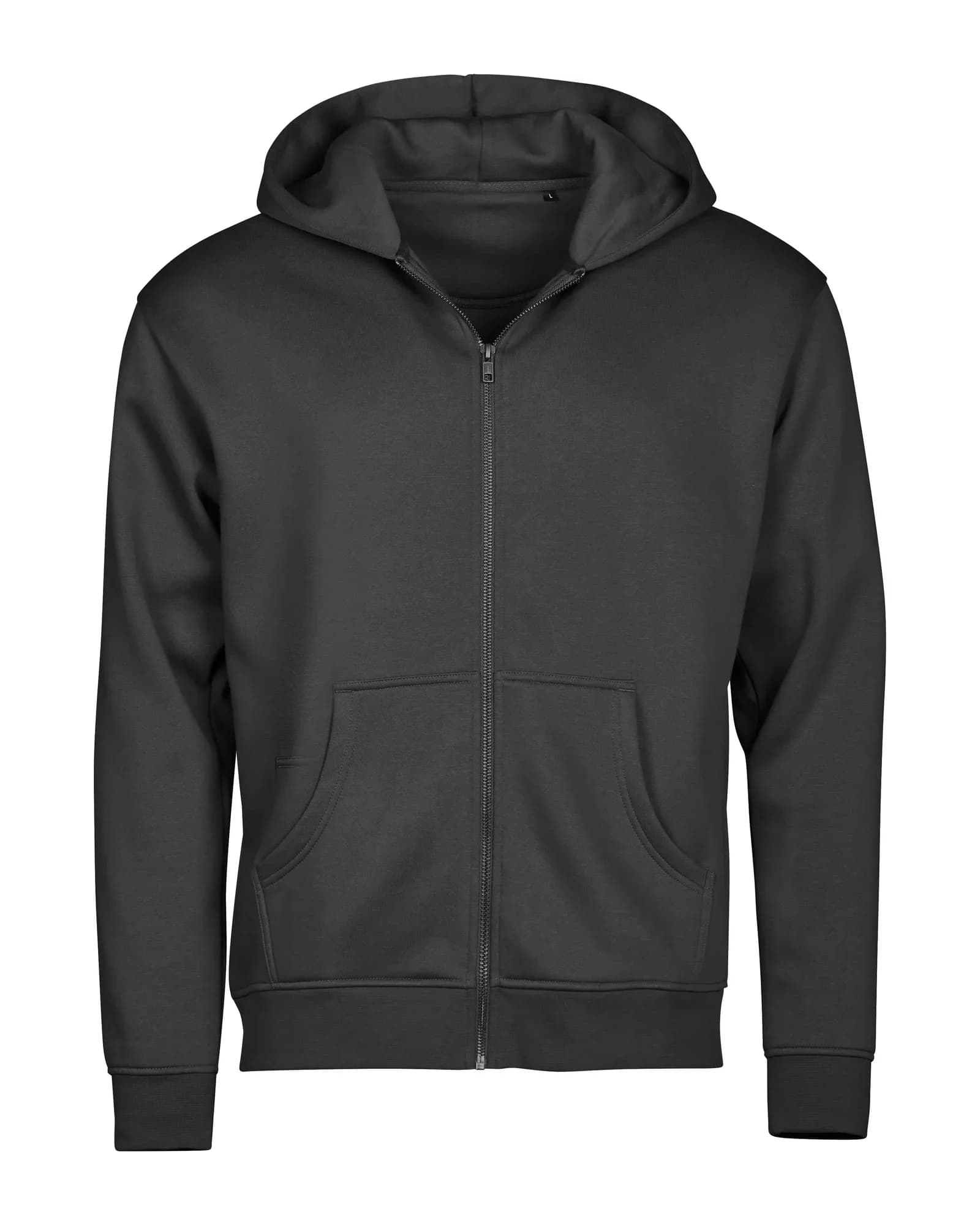 Unlabeled Hooded Full-Zip Sweatshirt